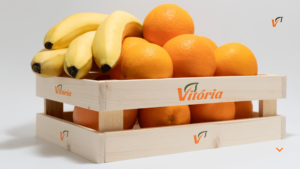 - VITORIA MANUAL DA MARCA 8 - Estúdio Quintal